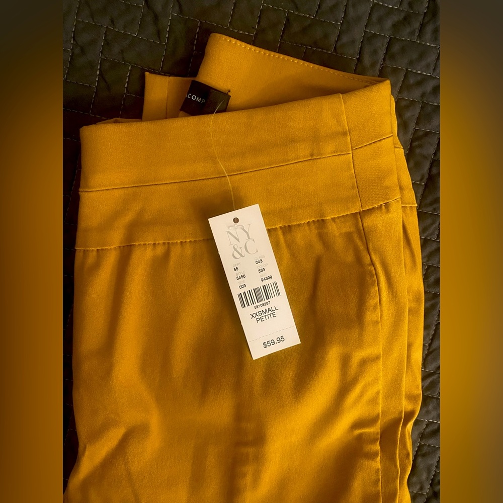 Dress Pants-petite